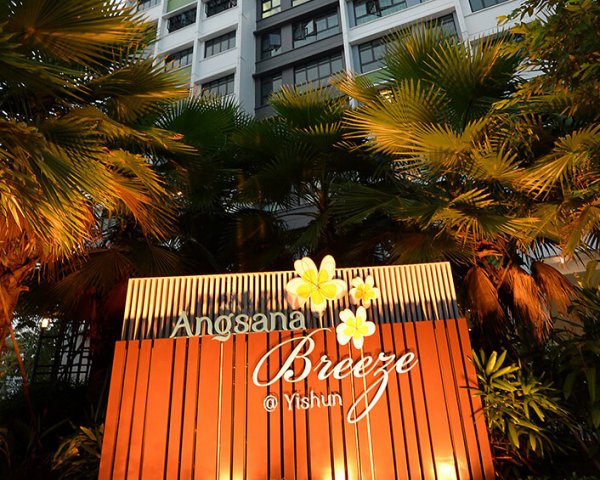 angsana10_800x565