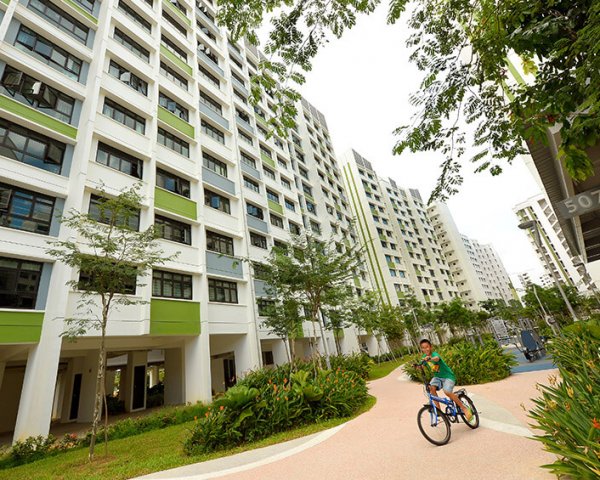angsana5_800x565