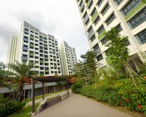 angsana6