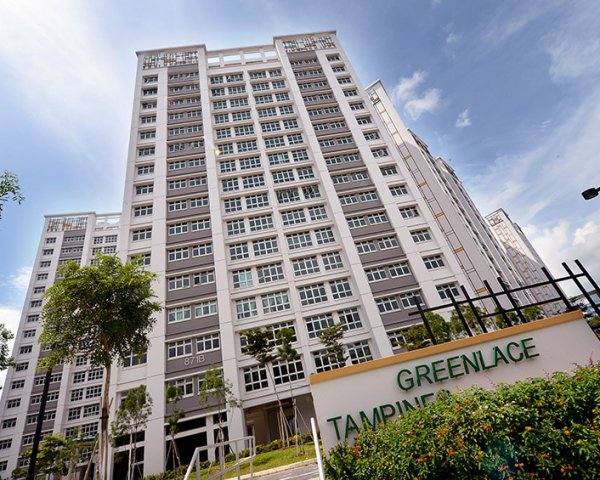 greenlace2_800x565